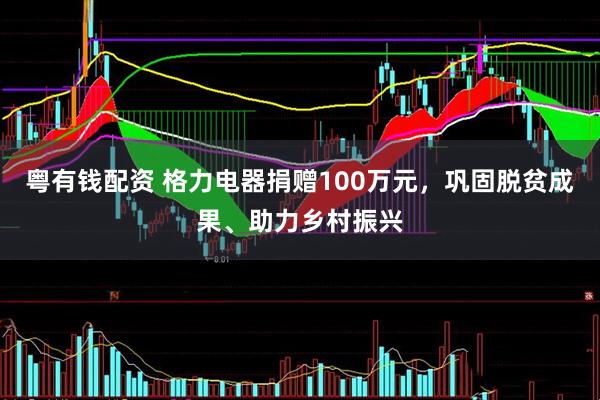 粤有钱配资 格力电器捐赠100万元，巩固脱贫成果、助力乡村振兴